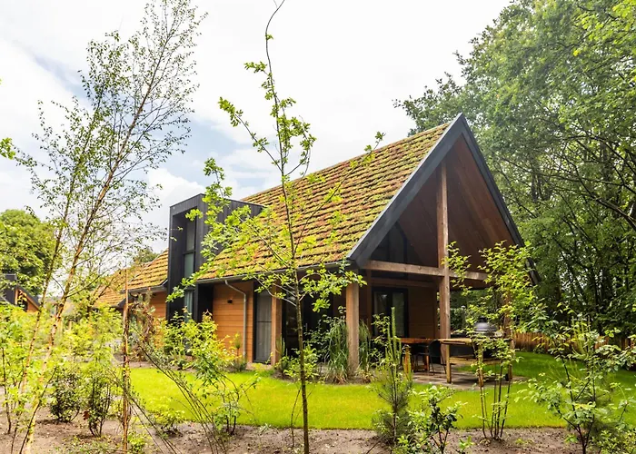 Bos Met Hottub & Sauna | 8 Personen - Valley Wekerom